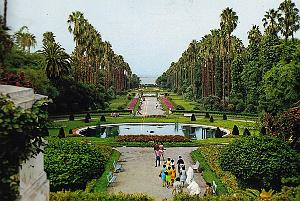 57- Alger- Jardin d'essai